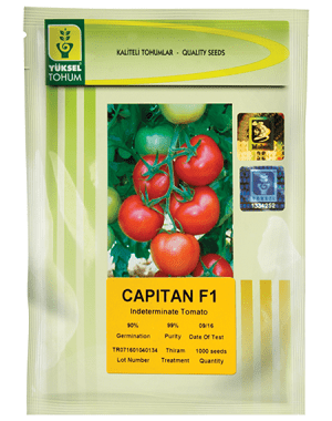گوجه فرنگی کاپیتان