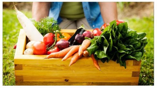 سبزیجات مناسب برای کاشت در فصل پاییز