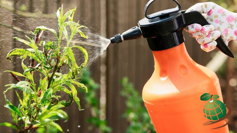 بهترین زمان برای استفاده از قارچ کش