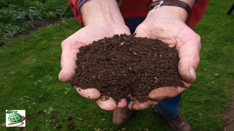 ترکیبات خاک مناسب کاشت گوجه 