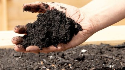 pH خاک (تغییر پی اچ خاک)