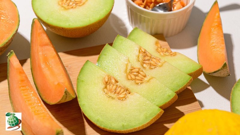 تفاوت ‌ملون، خربزه و طالبی از نظر نحوه کشت