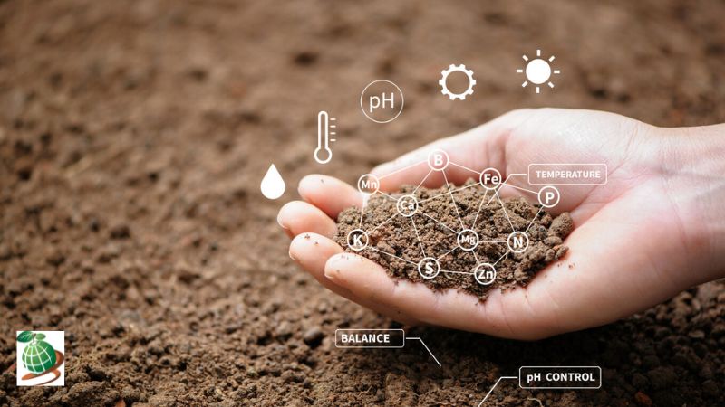 عوامل موثر بر pH خاک