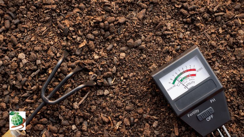 افزایش ph خاک (پی اچ خاک)