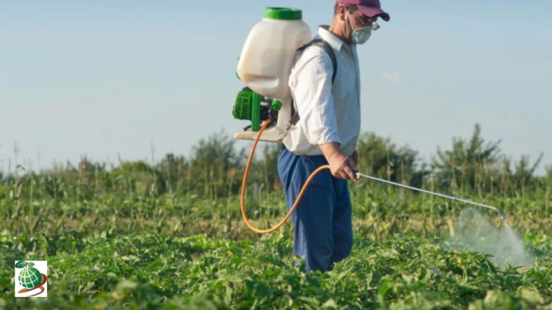 کنترل آفات و بیماری های پیاز