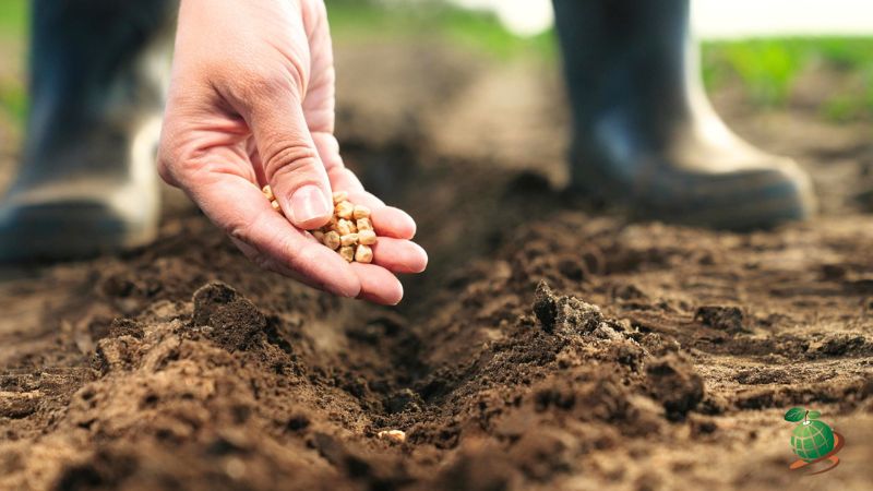 اشتباهات رایج در بذرپاشی