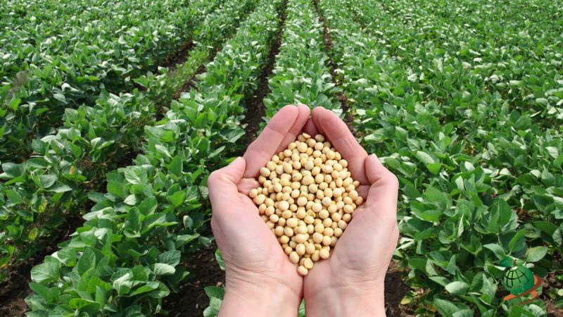 عوامل موثر در خواب بذرها