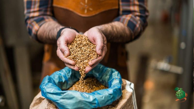 نحوه شناسایی بذرهای تقلبی