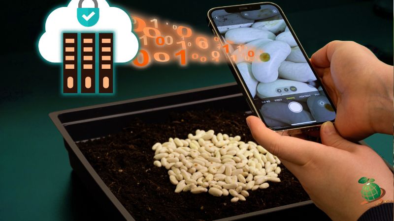 روش های شناسایی بذرهای تقلبی