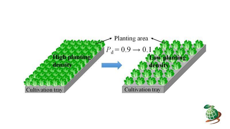 فرمول محاسبه تراکم بوته