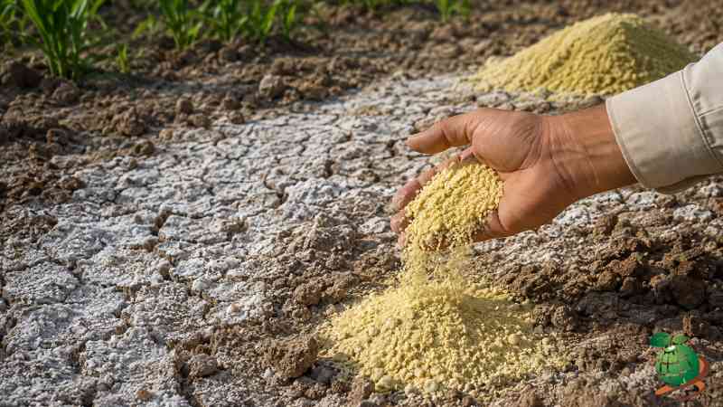 اصلاح خاک شور با گوگرد