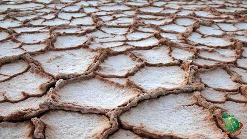 خاک شور و سدیمی