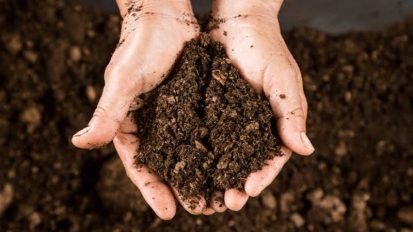 اصلاح تقویت و غنی سازی خاک