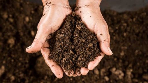 چگونه خاک فقیر را غنی و اصلاح کنیم؟